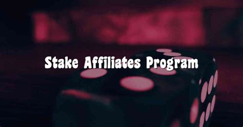 stake bet|Affiliate Program .